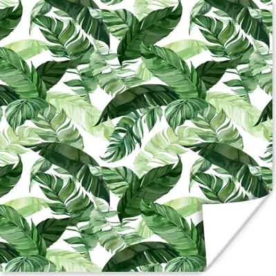 Produktbild von MuchoWow® Poster Blätter - Tropisch - Dschungel - Muster 50x50 cm - Wohnzimmerdekoration