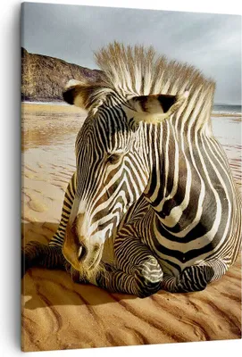 Produktbild von Bild auf Leinwand - Leinwandbild - Einteilig - Zebra Strand Landschaft - 50x70cm - Wand Bild - Wanddeko - Wandbilder - Leinwanddruck - Wanddekoration - Leinwand bilder - Wandbild - PA50x70-0213