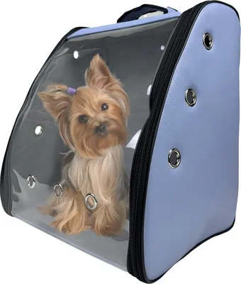 Produktbild von EVE Textile Hunderucksack Katzenrucksack Haustierrucksack 42x35x27 cm Hellblau Hundetasche Rucksack Atmungsaktiv zugelassen von Fluggesellschaften