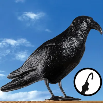 Image de Effaroucheur de pigeons Effaroucheur d'oiseaux Corbeau Corneille Pigeon Crochet, Quantité:1x avec crochet