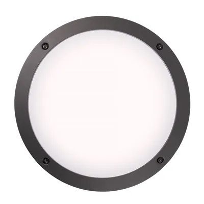 A round outdoor wall light with a dark gray frame and a white diffuser.
