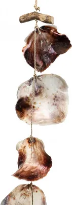 Produktbild von Maritime Muschelgirlande Natur Deko, 150cm, Capiz-Muscheln mit Treibholz, Wand- und Fensterdekoration