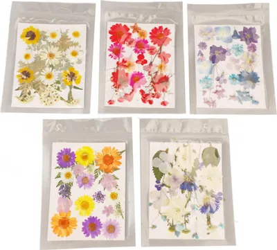 Image de 5 sachets de fleurs pressées différents styles détails vivants multi but coloré séché pour le bricolage forme signet type 1
