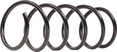 Obrázek produktu pro 2X Lesjöfors Spring Travel Spring Front