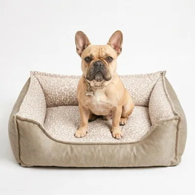Produktbild von 4L Textil Orthopädisches Hundebett mit Bezug, Visco Memory Foam, Leopardenmuster, Waschbar, Hundekörbchen kleine Hunde (60x40 cm,Beige)