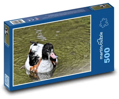 Produktbild von Puzzle 500 Ente auf ruhigem Teich - martinpuzzle