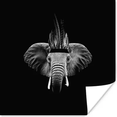 Produktbild von MuchoWow® Poster Elefant - Federn - Hut - Schwarz - Weiß 30x30 cm - Wandposter - Printing