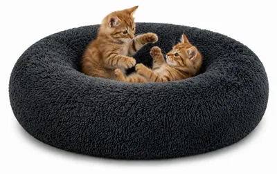 Produktbild von lionto Donut Katzenkissen, rundes Bett mit Plüschbezug & Anti-Rutsch-Boden, erhöhter Rand für Geborgenheit, 70 cm Durchmesser, dunkelgrau