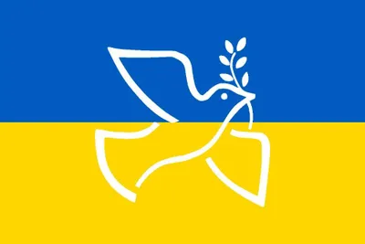 Produktbild von Ukrainische Flagge, 150 cm x 90 cm, aus 100% Polyester