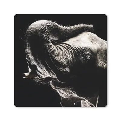 Produktbild von MuchoWow® Mauspad Mousepad Elefant - Schwarz - Tiere - Porträt 20x20 cm - Mousepads - Maus Mat - Pad - Mausunterlage - Desk Mat - Bureauartikeln