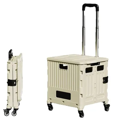 Image de Chariot de transport, poignée télescopique, roues pivotantes, beige