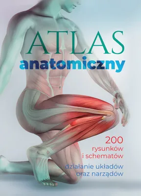 Zdjęcie produktu dla Atlas anatomiczny