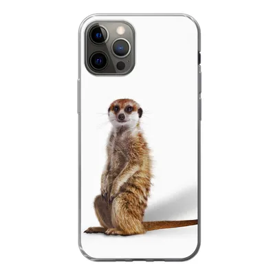 Produktbild von MuchoWow® Handyhülle Schutzhülle Hülle für iPhone 13 Pro Erdmännchen - Tiere - Fell Silikon Softcase Handy Hülle - Handy-Tasche