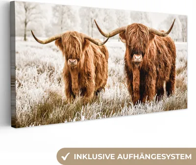 Produktbild von MuchoWow® - Leinwandbilder - Schottischer Hochländer - Kuh - Natur - Winter, Wandbild, Wanddeko Bilder Wohnzimmer, 80x40cm