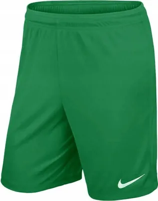 Produktbild von Nike Park III Shorts Herren - Grün