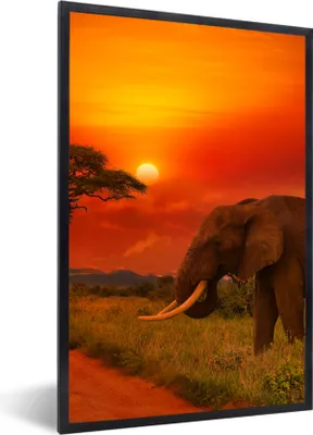 Produktbild von MuchoWow® Gerahmtes Poster Elefant - Sonnenuntergang - Orange - Savanne - Tiere 60x90 cm - Poster mit Schwarzem Bilderrahmen Wandposter Rahmen Foto Bilder - Kunst