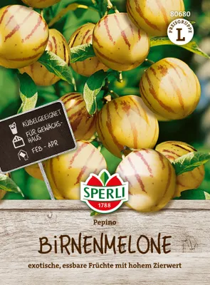 Produktbild von SPERLI Birnenmelonensamen Pepino Solanum muricatum 10 Pflanzen