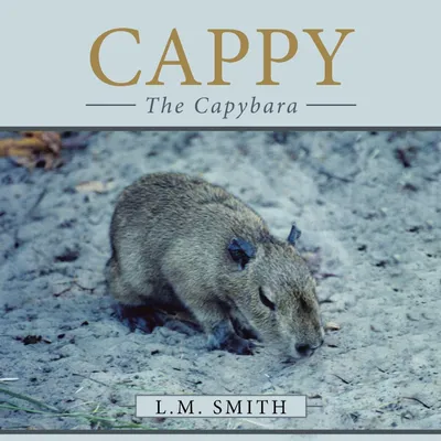 Produktbild von Cappy