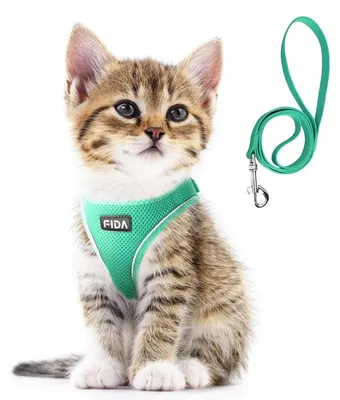 Produktbild von Katzengeschirr und Leine Set XS Grün ausbruchsicher atmungsaktiv reflektierend