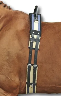 Produktbild von Longiergurt mit Haltegriff, dunkelblau/beige, Pony