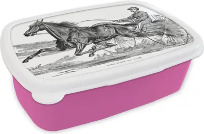 Produktbild von KitchenYeah® Lunchbox Brotzeit Brotdose 17x11 cm Eine Illustration eines Pferdes in der Trabrennbahn Kinder Brotzeitdose - Lunchpaket - Brotkasten  - Sandwich Box