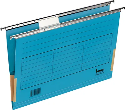 Produktbild von Hängemappe A4 mit Frosch blau 230g/qm Farbkarton, Beschriftungs-