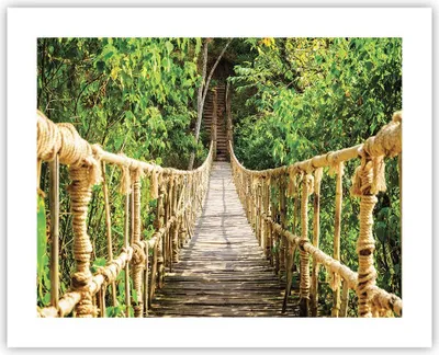 Produktbild von Poster - Poster ohne Rahmen - Brücke Seil Dschungel - 50x40 cm - Wand Bild - Wanddeko - Wandbilder - Kunstposter - Wandposter - Bilder - Kunstdruck - Wanddekoration - Wandbild - P2XAA50x40-4319