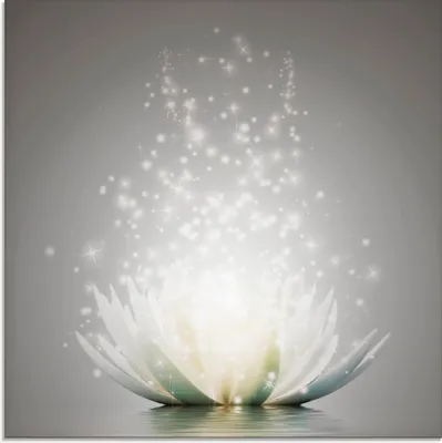 Produktbild von ARTland Glasbild Magie der Lotus-Blume - grau Größe: 20x20 cm