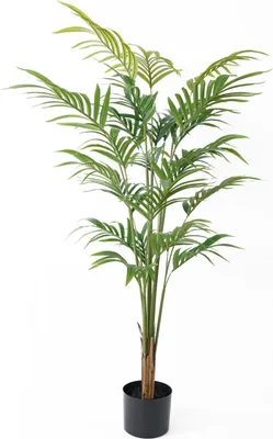 Produktbild von Present Time - Kunstpflanze Palm Tree - Grün - 72x72x120cm