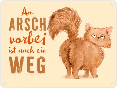 Produktbild von Katze Metallschild in 15x20 cm mit Spruch Am Arsch vorbei ist auch ein Weg