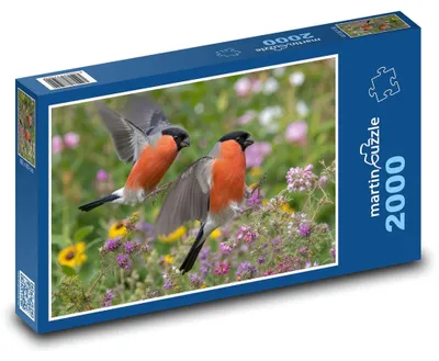 Obrázek produktu pro Puzzle 2000 Hýli mezi květinami - martinpuzzle