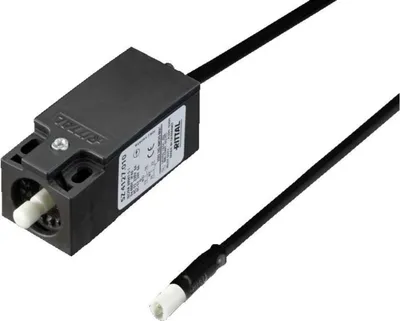 Image de Rittal Türpositionsschalter mit Anschlussleitung 800mm schw.