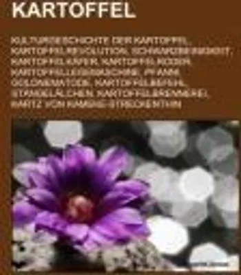 Produktbild von Kartoffel