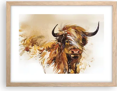 Produktbild von Gerahmtes Poster - Rahmen in heller Eiche - Stier Scotch Aquarell - 40x30 cm - Wand Bild - Wanddeko - Wandbilder - Kunstposter - Wandposter - Bilderrahmen - Bilder - Kunstdruck - P2NAA40x30-4708