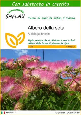 Immagine prodotto di SAFLAX  - Albero della seta - 50 semi - Con substrato - Albizia