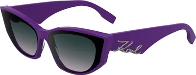 Immagine prodotto di Occhiali Karl Lagerfeld kl6162s541