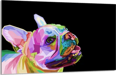 Produktbild von Herdabdeckplatte 80x52cm 1-teilig Glaskeramikkochfeld-Abdeckung Spritzschutz, Hund Bunt