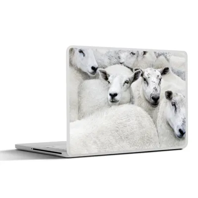 Produktbild von MuchoWow® Laptop Aufkleber Sticker Cover Schafe - Tiere - Bauernhof 30x22 cm - Laptop-Sticker