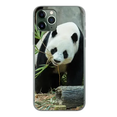 Produktbild von MuchoWow® Handyhülle Schutzhülle Hülle für iPhone 11 Pro Panda - Baumstamm - Höhle Silikon Softcase Handy Hülle - Handy