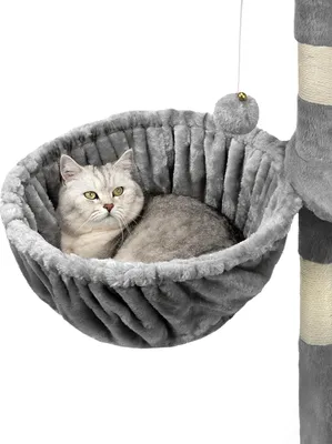 Image de Surface de repos pour arbre à chat - hamac pour chats de construction robuste et très confortable