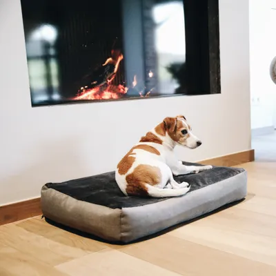 Produktbild von Kentucky Dogwear Hundebett Dog Bed 'Soft Pillow' Medium - Grey