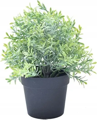 Produktbild von Künstliche Pflanze Im Topf, Realistisch, 20Cm, Schöner Rosmarinbush