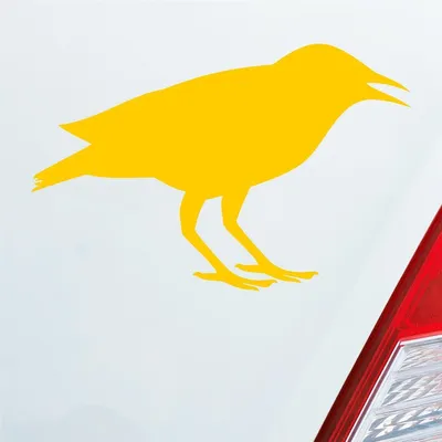 Produktbild von Auto Aufkleber Rabe Vogel Bird Vogelfreund 15x10 cm Gelb Sticker Heckscheibenaufkleber