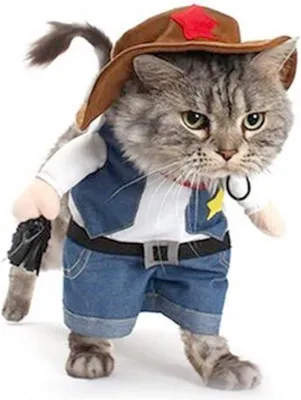 Produktbild von Famanu Katzenkostüm Cowboy - Lustiges Outfit für Katzen und kleine Hunde