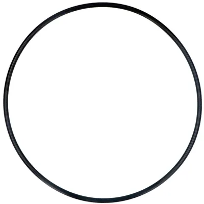 Dichtungsring für Schnellkochtopf Ø 268 mm, für SEB Tefal 10-18L