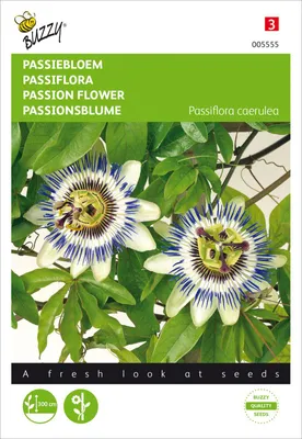 Artikelbild 2 von 'Passionsblume' aus der Kategorie Blumensamen