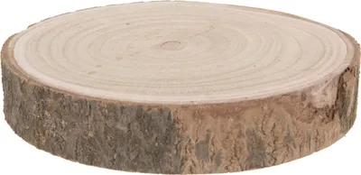 Image de Rondelle d'arbre en bois naturel - 29-34 cm - Rondelle de bois décorative - Modèle : grand