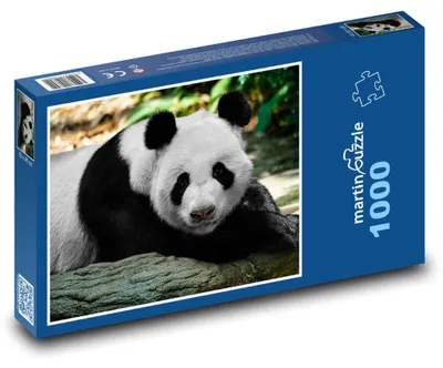 Obrázek produktu pro martinpuzzle - Puzzle 1000 - Panda velká