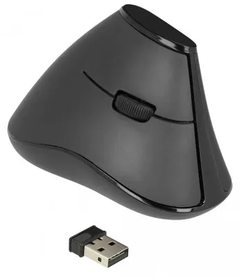 Produktbild von DELOCK Ergonomische vertikal optische 5-Tasten Maus 2,4 GHz