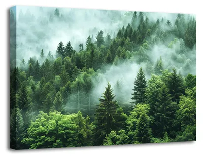 Obrázek produktu pro Obraz na plátně Les v mlze 120x80 cm